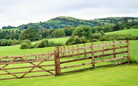 The Orchards